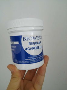 biowest agarose g 10琼脂糖