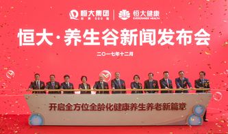 恒大养生谷建国际一流 医联体 租购旅 并举普惠民生