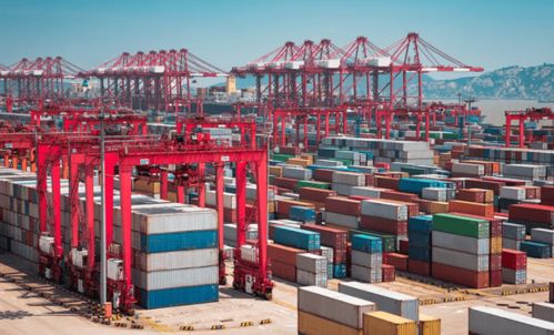 德国贸易商 担心中国厂家春节休息,加快预订中国防疫产品