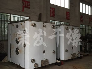 湖北宜昌食品公司与荣发干燥合作，引进恒特发薯条烘干机助力产业升级