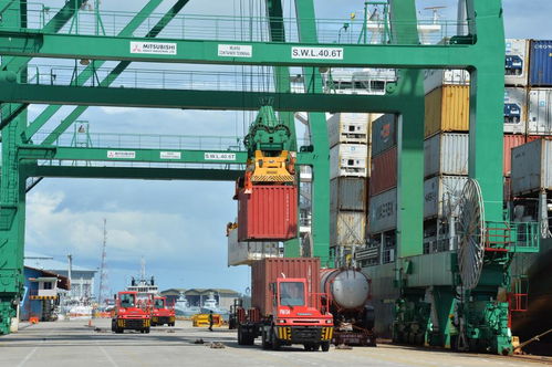 全球连线 rcep 满月 了, 朋友圈 里好热闹